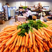 Skarstad Gartneri og Gårdsmarked