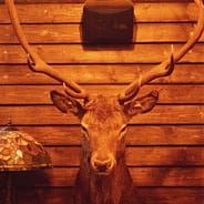 Villani Osteria Vinbar