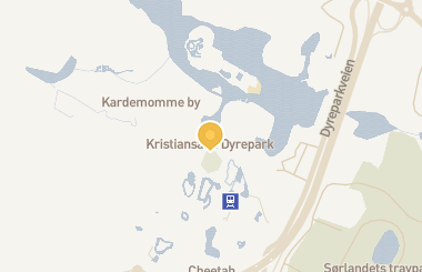 Kart med med nål på restauranten