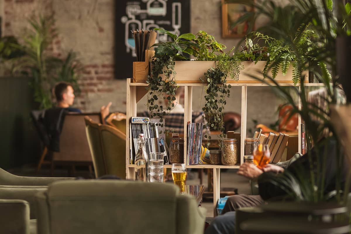 merchant image