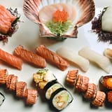 The Salmon