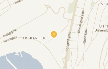 Kart med med nål på restauranten