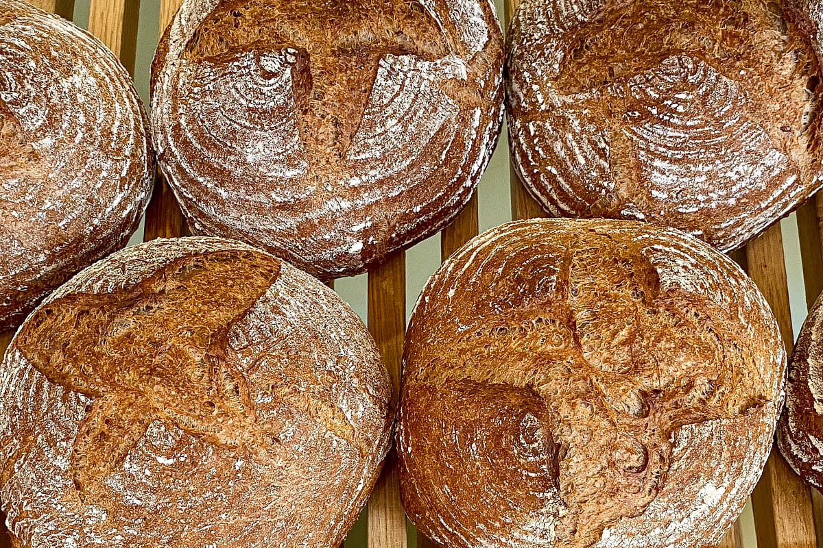 merchant image