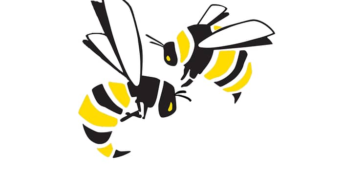 giftcard image