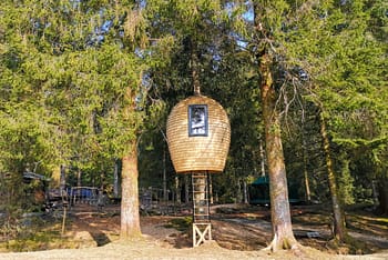 Konglen