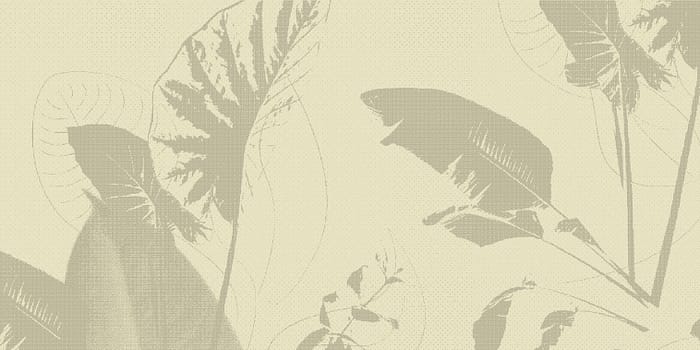 giftcard image