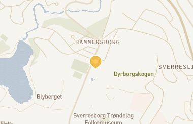 Kart med med nål på restauranten