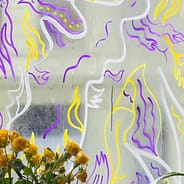 Babbo Collective Øvrefoss