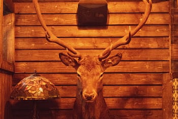 Villani Osteria Vinbar