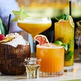 Amazonia By BAR
