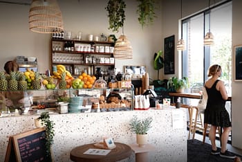 Babbo Collective Frysja