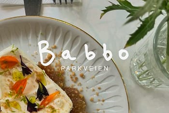 Babbo Parkveien