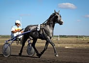 Bjerke Travbane
