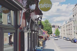 Nektar Vinbar